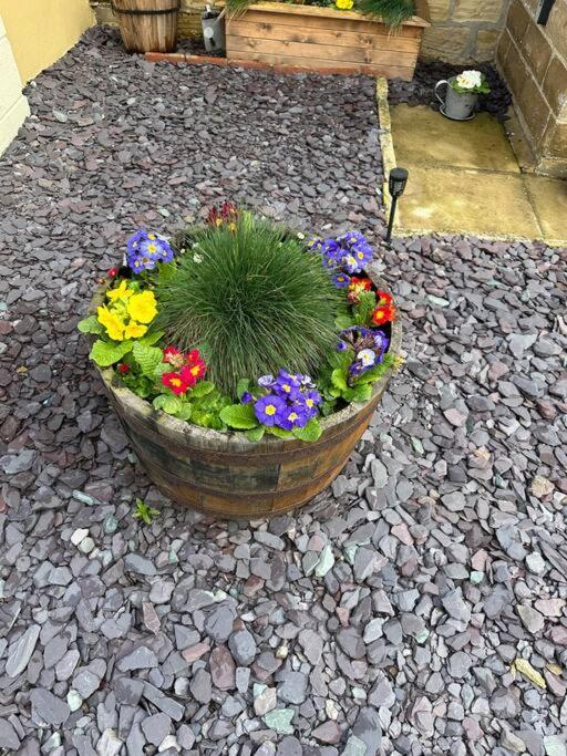Quaint 1 Bedroom Cottage In Pudsey, Leeds Екстериор снимка